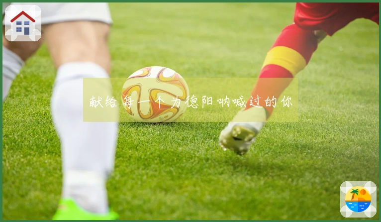 献给每一个为德阳呐喊过的你